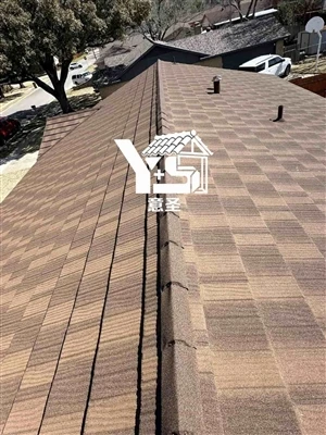 أسقف معدنية من Colorstone الطبقة الفولاذية لأسطح المباني الحديثة